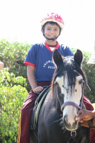 Fernando 3