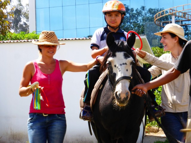 caballo ninio10
