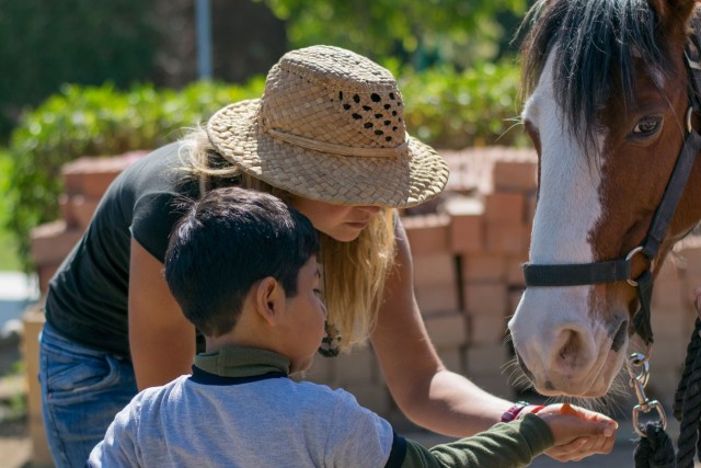 caballo ninio1