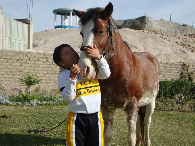 caballo ninio7
