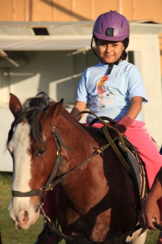 caballo ninio9