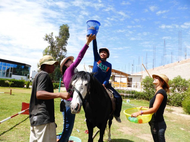 caballo ninio 11