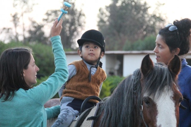 caballo ninio voluntario1