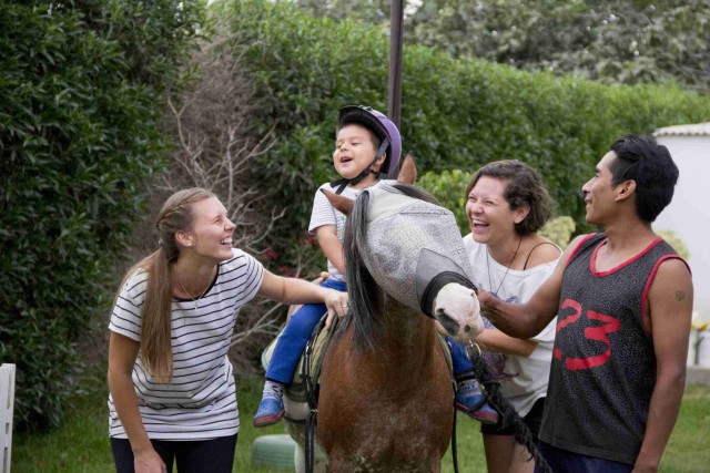 caballo ninio voluntario4