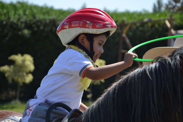 ninio1
